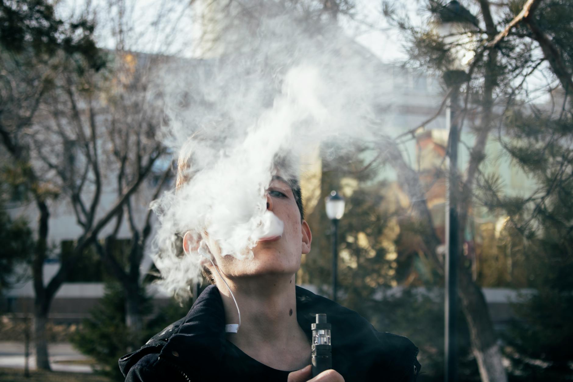 terre de vape
